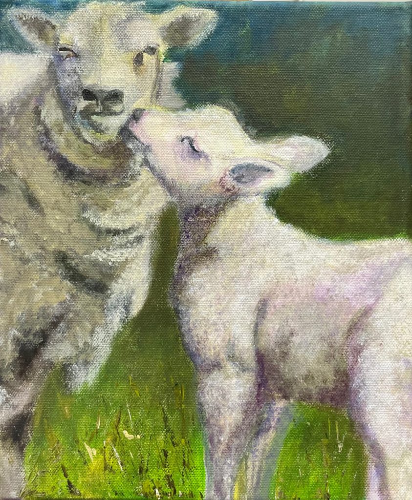 Küssende Schafe am Kalscheurer Weiher