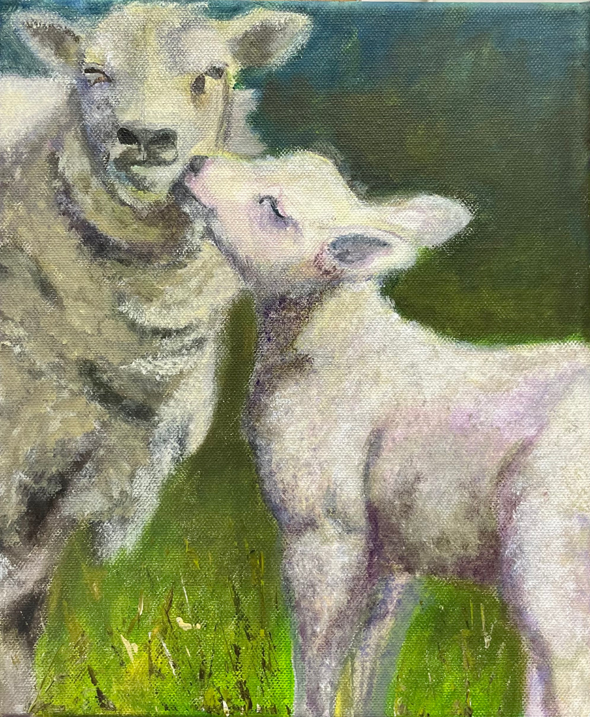 Küssende Schafe am Kalscheurer Weiher