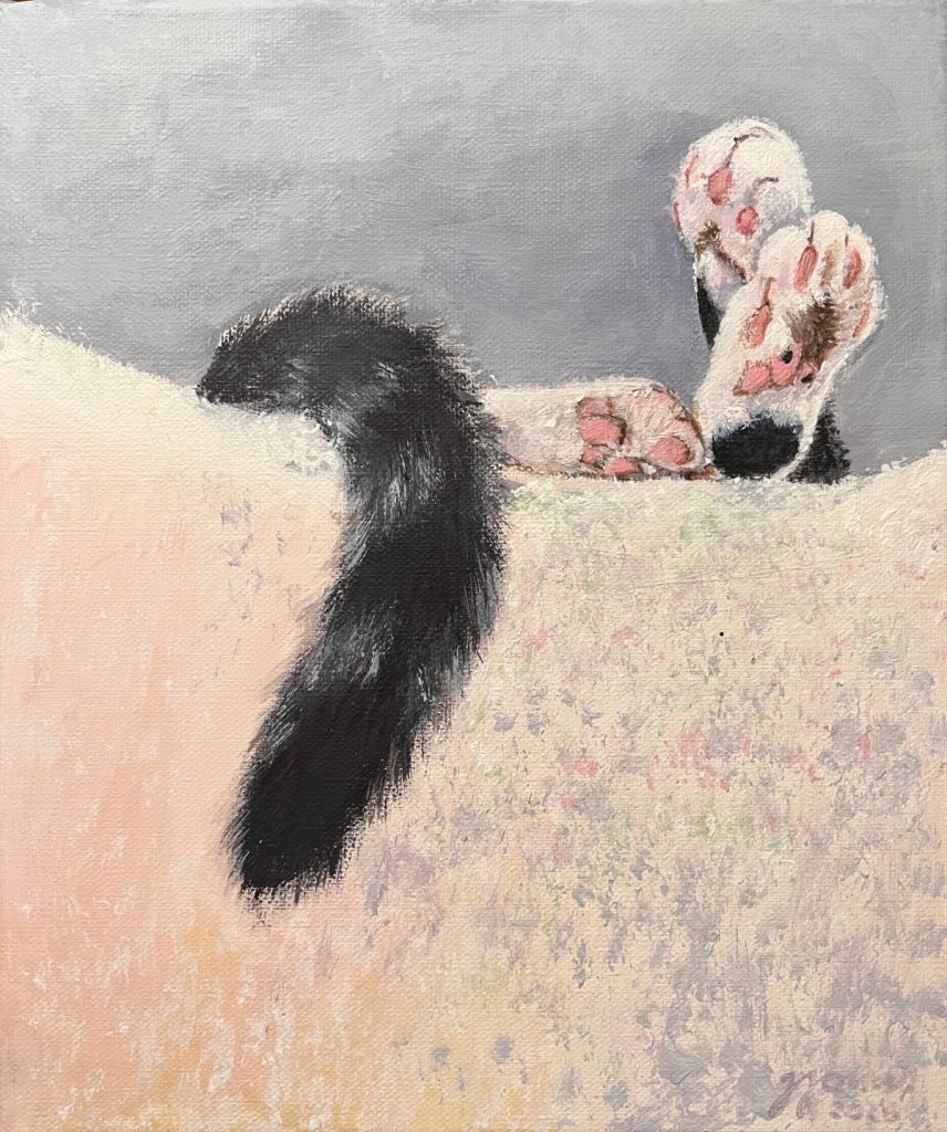 Samtpfoten - Probier's mal mit Gemütlichkeit